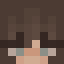 btwri Minecraft face